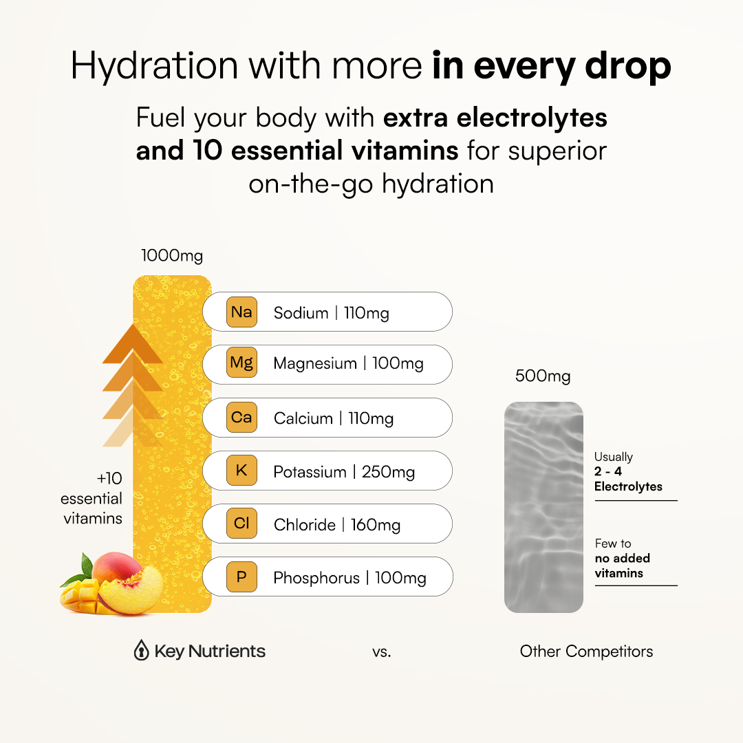 Electrolyte Recovery Plus Powder (Sugar-Free) (Copy)