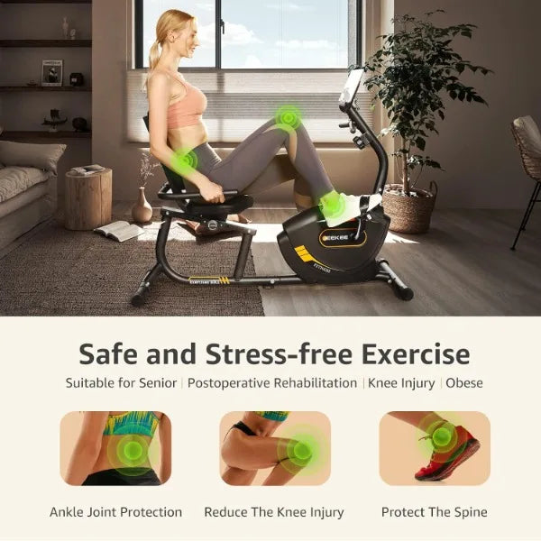Recumbent Exercise Bike Adults Seniors Indoor Magnetic