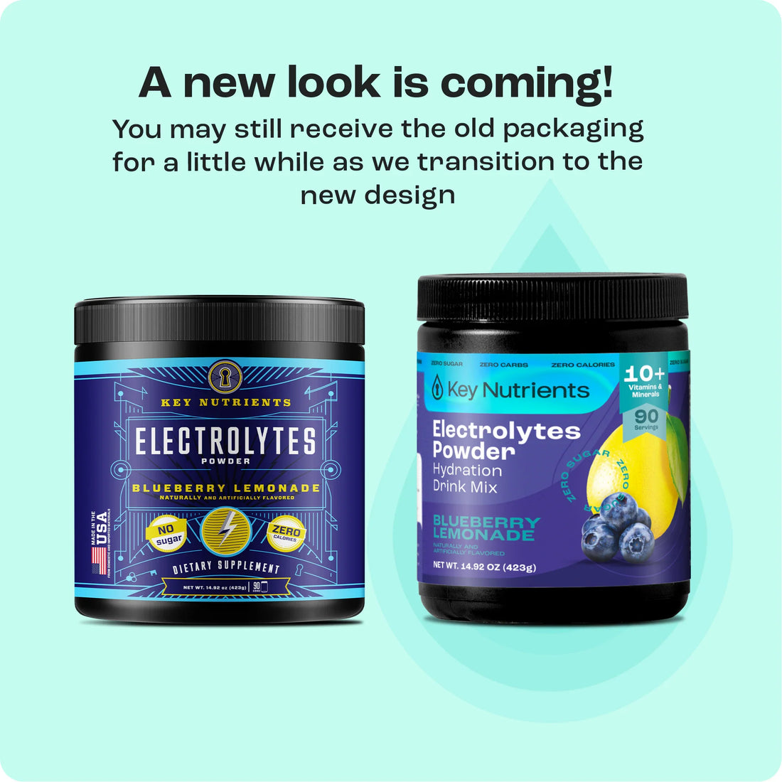 Electrolyte Recovery Plus Powder (Sugar-Free) (Copy)
