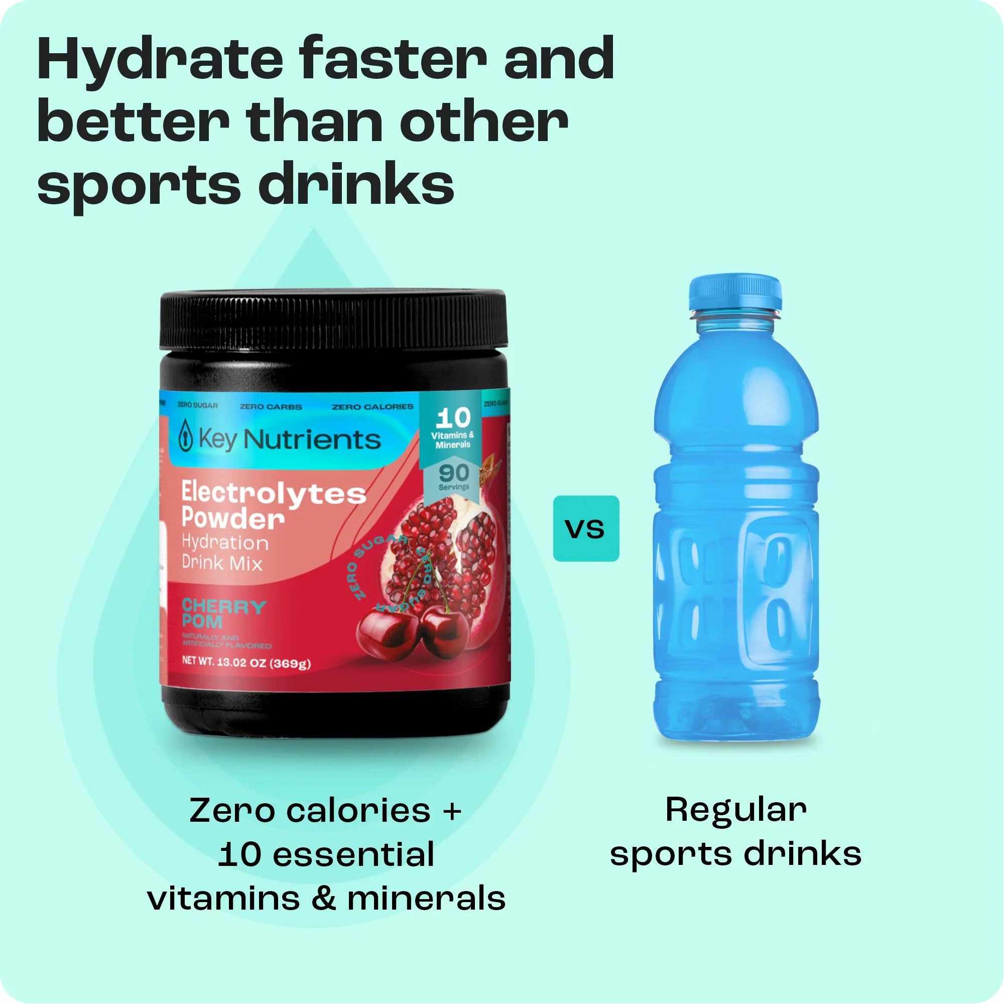 Electrolyte Recovery Plus Powder (Sugar-Free) (Copy)