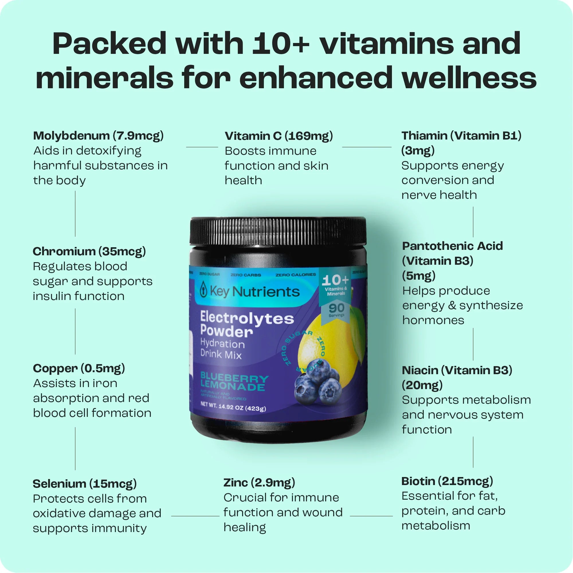 Electrolyte Recovery Plus Powder (Sugar-Free) (Copy)