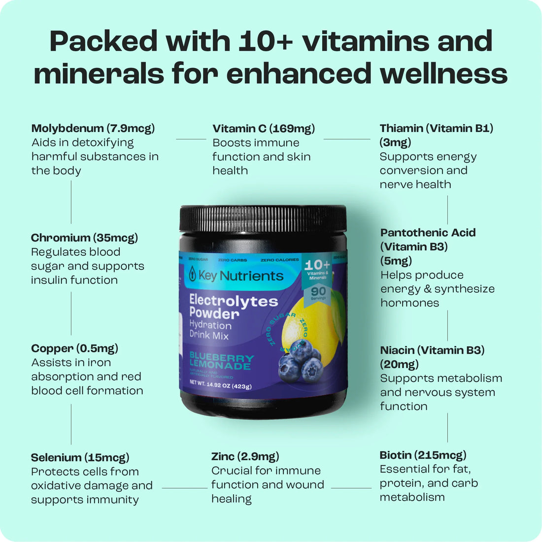 Electrolyte Recovery Plus Powder (Sugar-Free) (Copy)