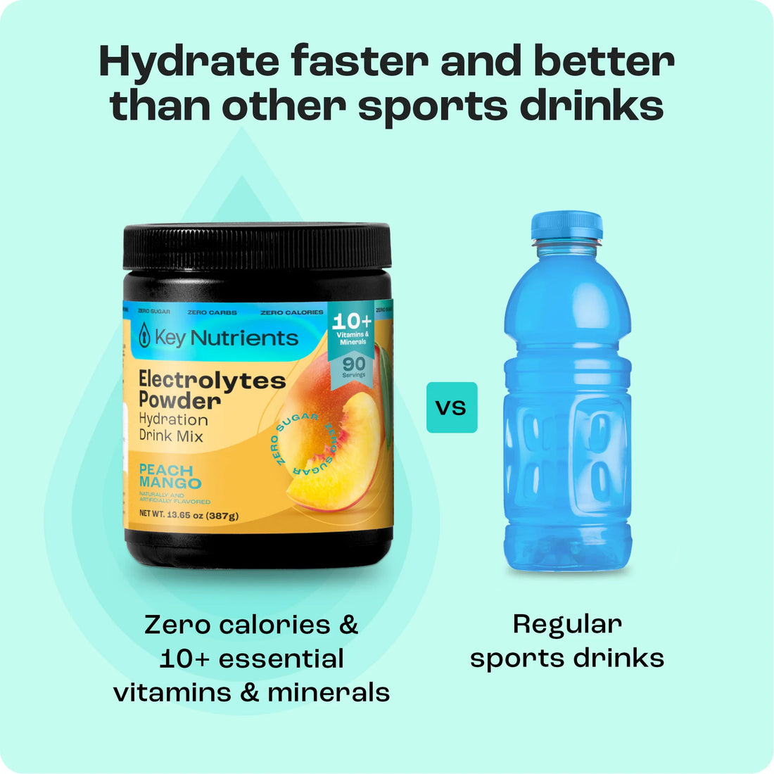 Electrolyte Recovery Plus Powder (Sugar-Free) (Copy)