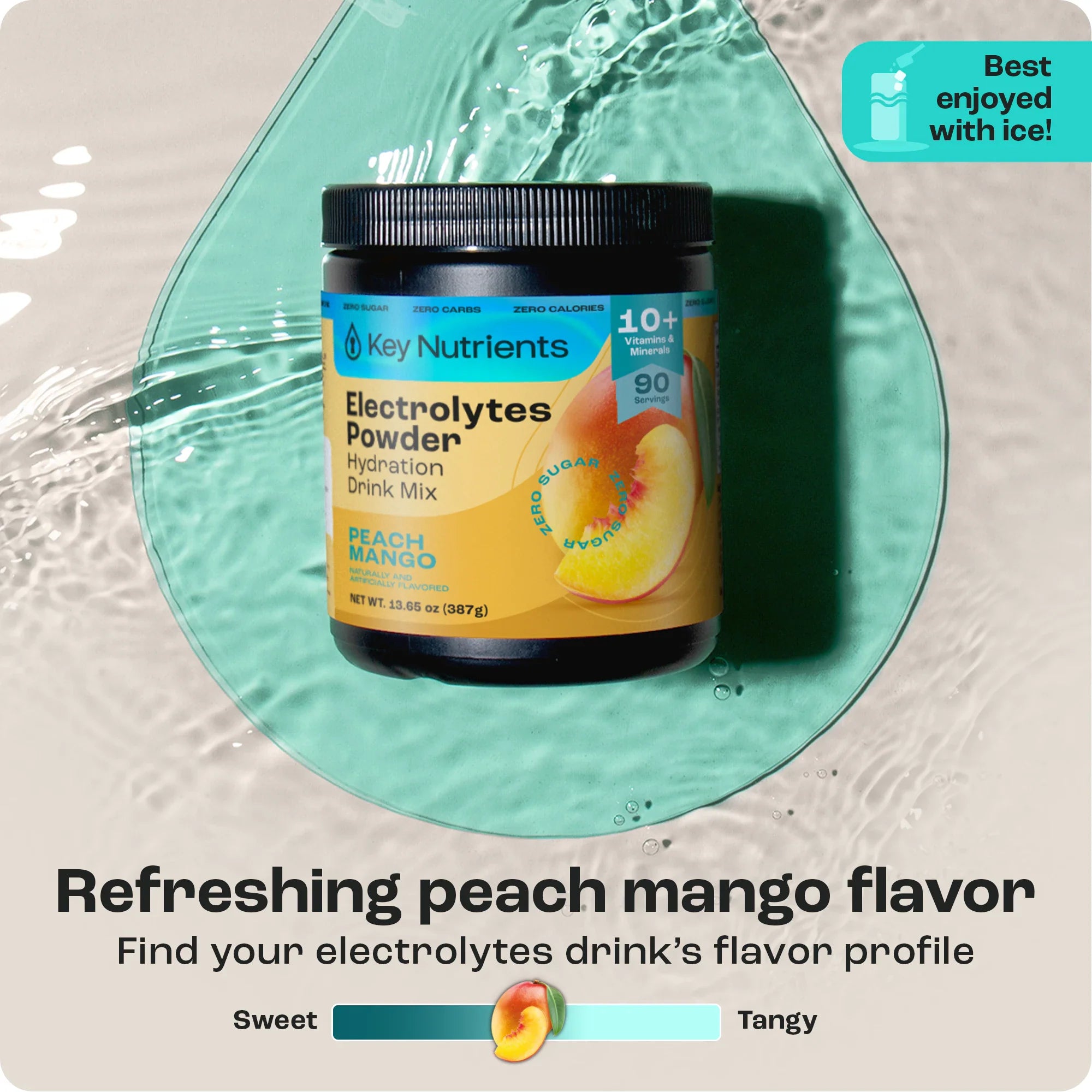 Electrolyte Recovery Plus Powder (Sugar-Free) (Copy)