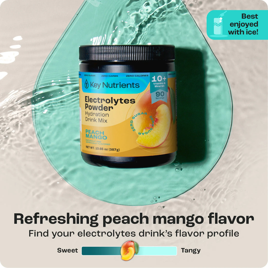 Electrolyte Recovery Plus Powder (Sugar-Free) (Copy)