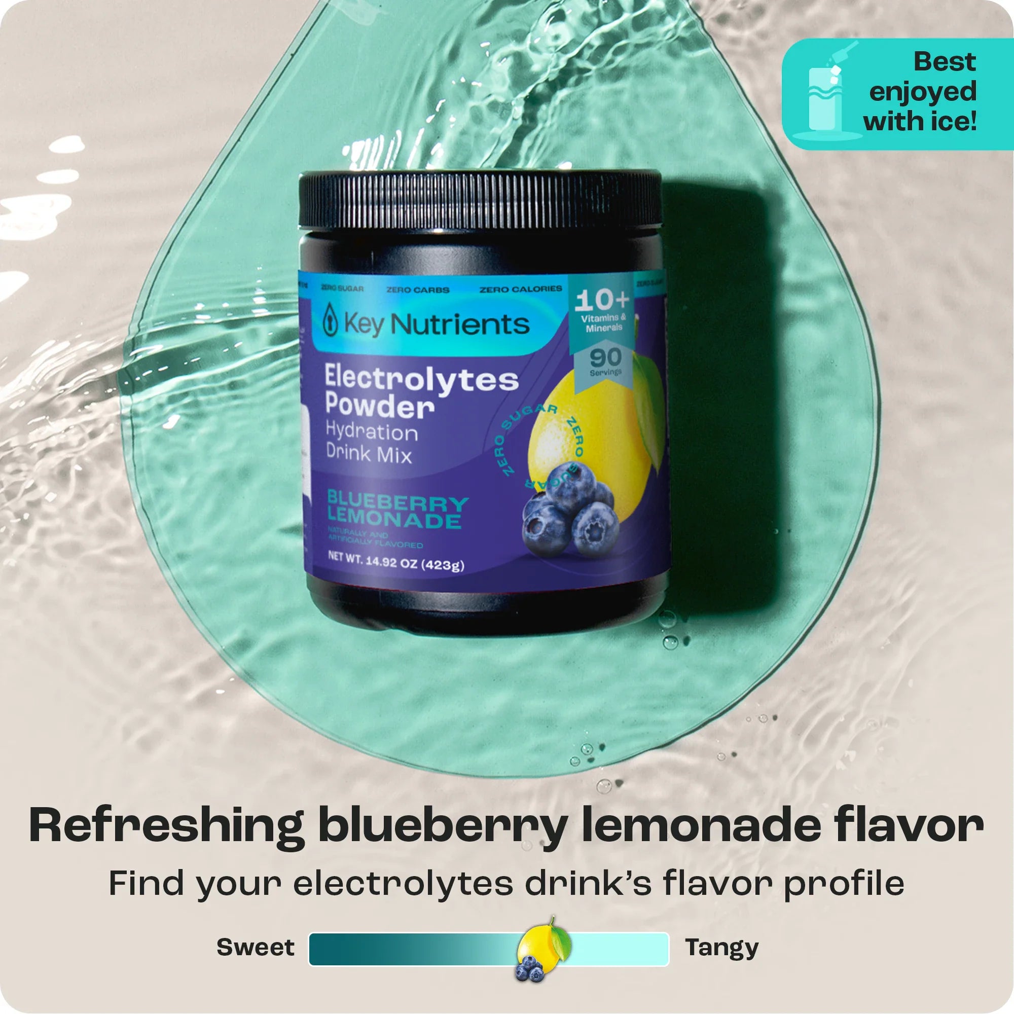 Electrolyte Recovery Plus Powder (Sugar-Free) (Copy)